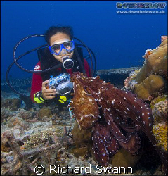 Ev gets nice and close to the Day Octopus ! Nikon D2x 12-... by Richard Swann 